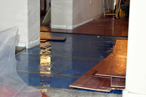 Professional Water Damage Repair technician working in Lenzburg, IL